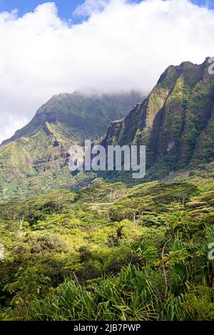 Blick auf die steilen vulkanischen Berge von Oahu vom Ho’omaluhia Botanical Garden, Hawaii Stockfoto