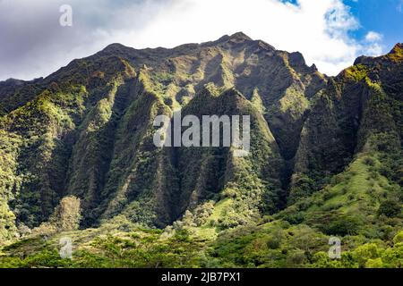 Blick auf die steilen vulkanischen Berge von Oahu vom Ho’omaluhia Botanical Garden, Hawaii Stockfoto