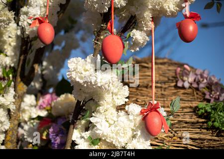 Ostereier hängen vom Baum. Dekoration des Urlaubs. Rote Eier auf Bändern. Stockfoto