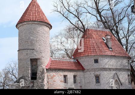 Draufsicht auf die Altstadt - der älteste Teil von Tallinn in Estland mit orangefarbenen Ziegeldächern und antiken Gebäuden Stockfoto