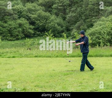 Ein merlin (Falco Columbariaus) namens Captin 'Jack' Sparrow im Flug, der einem von seinem Trainer im British Bird of Prey Center geschwungenen Köder hinterherjagt Stockfoto