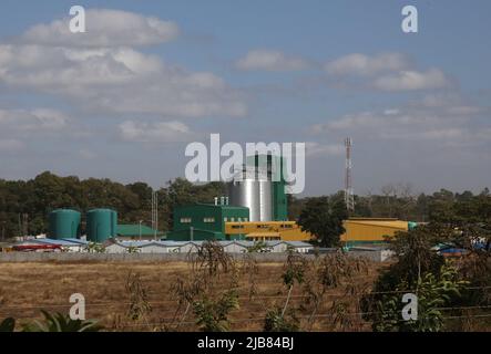 Lusaka. 2.. Juni 2022. Das Foto vom 2. Juni 2022 zeigt die von China finanzierte Müllerei in Lusaka, Sambia. Sambia hat am Freitag offiziell drei hochmoderne, von China finanzierte Müllereianlagen in Betrieb genommen. Quelle: Zhang Yuliang/Xinhua/Alamy Live News Stockfoto