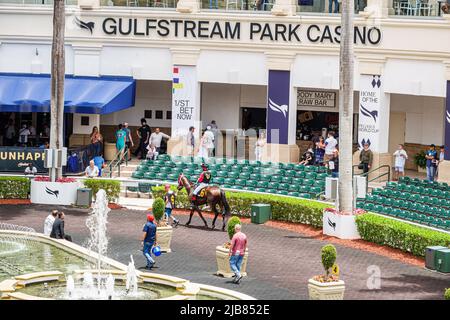 Hallandale Florida Miami, Gulfstream Park Rennbahn Rennbahn Vollblut Pferderennbahn, Paddock Walking Ring Pferde Stockfoto