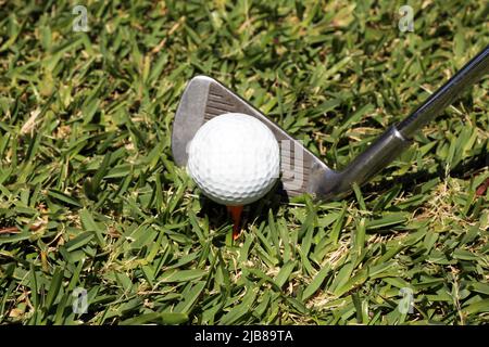 Golfball auf T-Shirt bereit für Abschlag Stockfoto