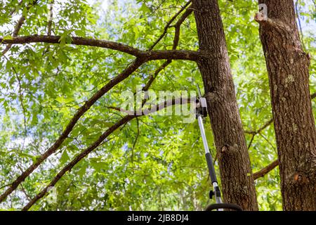 Mann trimmt Äste von einem Baum eine Kettensäge Stockfoto