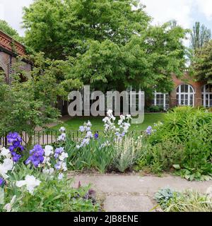 London, Greater London, England, Mai 28 2022: Begrünter Garten und Orangerie im Holland Park in der Gegend von Kensington. Stockfoto