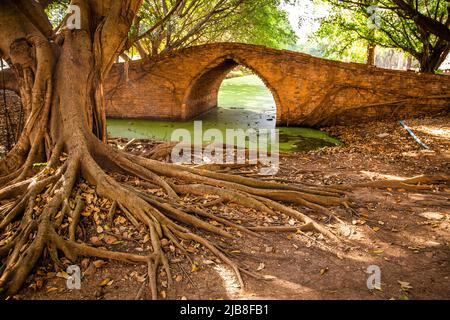 PA Dinso Brücke zwischen Wat Boromphuttharam und Wat Singharam in Ayutthaya, Thailand Stockfoto