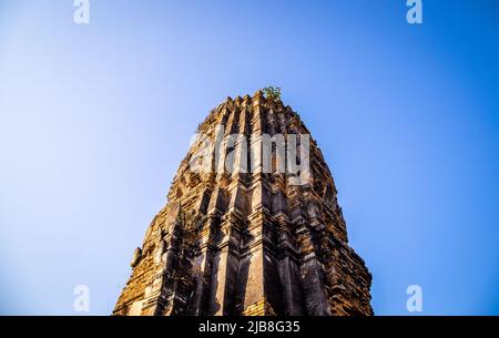Wat Phra Mahathat Tempel mit Kopfstatue gefangen in Bodhi Baum in Phra Nakhon Si Ayutthaya, Thailand Stockfoto