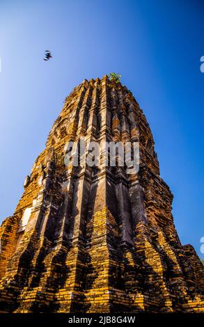 Wat Phra Mahathat Tempel mit Kopfstatue gefangen in Bodhi Baum in Phra Nakhon Si Ayutthaya, Thailand Stockfoto