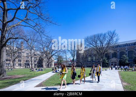 Studenten am Abschlusstag in der Rechtsschule Quadrangle, University of Michigan, Ann Arbor, Michigan, USA Stockfoto