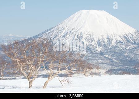 Die Winterlandschaft des Mount Yotei, Niseko, Hokkaido Stockfoto