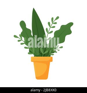 Eine Pflanze mit Blättern. Topfwerk Im Haus. Cartoon flache Vektor-Illustration isoliert auf weißem Hintergrund. Stock Vektor