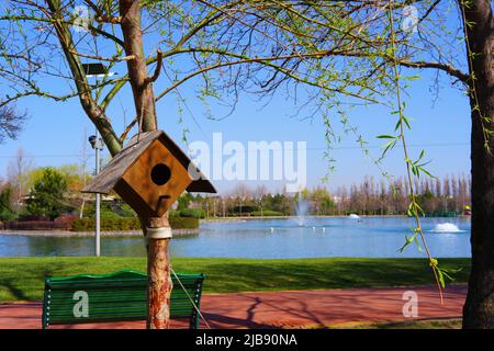 Vogelhaus an einem Baum am See in Bäumen im Sommer gehängt Stockfoto