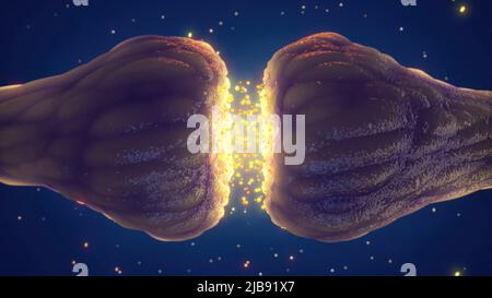 Synaptische Übertragung zwischen Nervenzellen (Neuronen). Die Synapse ist die Lücke zwischen zwei Neuronen und wird auch als neuronale Kreuzung bezeichnet Stockfoto