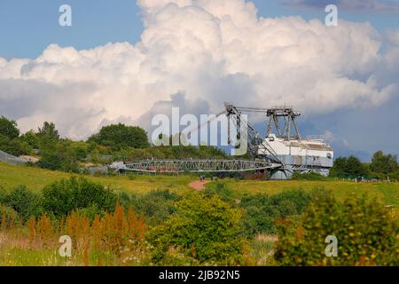 Eine erhaltene Bucyrus Erie 1150 Walking Dragline, die auf dem ehemaligen Tagebaukohlengelände von St. Aidan, das jetzt RSPB St Aidan's Nature Park ist, erhalten bleibt Stockfoto