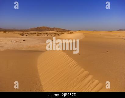 Blick auf die Sanddünen auf den Parque Natural Corralejo Fuerteventura Stockfoto