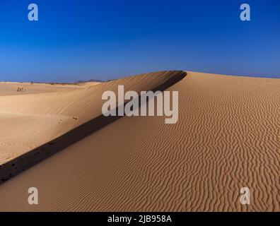 Blick auf die Sanddünen auf den Parque Natural Corralejo Fuerteventura Stockfoto