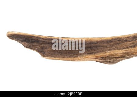 Teil aus Treibholz isoliert auf weißem Hintergrund. Stockfoto