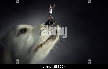 Kleiner Junge auf der Hundenase Stockfoto