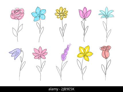 Blume Satz kontinuierliche Linie Zeichnung. Pflanzen eine Linie Abbildung. Minimalistisch druckt Vektorgrafik Stock Vektor