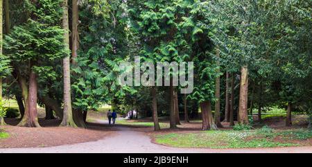 Eine malerische Aussicht auf die Bäume und Pfade im South Park, Darlington, England, UK.Ein Paar zu Fuß entlang des Pfades. Stockfoto