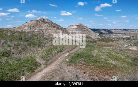 Horse Thief Canyon im Red Deer River Valley in der Nähe von Drumheller, Alberta, Kanada Stockfoto