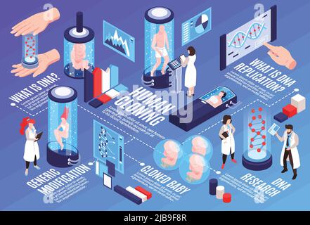 Infografiken zum Klonen von Menschen horizontale Illustration mit Text- und visuellen Informationen über die wissenschaftliche Forschung und Replikati von generischen dna-Modifikationen Stock Vektor