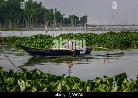 Binangonan, Philippinen. 04.. Juni 2022. Ein Fischer rudert sein kleines Boot zwischen schwimmenden Wasserhyazinthen. Laguna Lake ist der größte See auf den Philippinen und bedeckt eine Fläche von 900 Quadratkilometern oder entspricht 90.000 Hektar. Das Wasser fließt von der Provinz Laguna bis zur Provinz Rizal, dem südlichen Teil von Luzon. Der See bietet Ressourcen wie Transport, Erholung, Lebensunterhalt und vor allem Nahrung für die umliegenden Gemeinden. Laguna Lake wird als Süßwasser der Klasse C klassifiziert, das die Fähigkeit besitzt, Fische und andere aquatische Ressourcen anzubauen. Etwas Wassershe Stockfoto