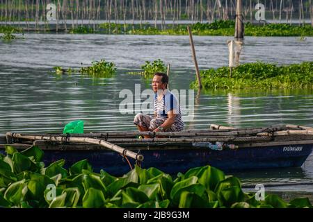 Binangonan, Philippinen. 04.. Juni 2022. Ein Fischer rudert sein kleines Boot zwischen schwimmenden Wasserhyazinthen. Laguna Lake ist der größte See auf den Philippinen und bedeckt eine Fläche von 900 Quadratkilometern oder entspricht 90.000 Hektar. Das Wasser fließt von der Provinz Laguna bis zur Provinz Rizal, dem südlichen Teil von Luzon. Der See bietet Ressourcen wie Transport, Erholung, Lebensunterhalt und vor allem Nahrung für die umliegenden Gemeinden. Laguna Lake wird als Süßwasser der Klasse C klassifiziert, das die Fähigkeit besitzt, Fische und andere aquatische Ressourcen anzubauen. Etwas Wassershe Stockfoto