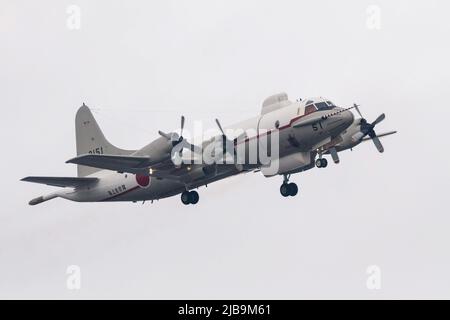 Ein Lockheed (Kawasaki) UP-3C Orion Maritime Aufklärungsflugzeug mit dem Air Development Squadron 51 in Atsugi, Airbase in Kanagawa. Dies ist das einzige Flugzeug der japanischen Streitkräfte, das das AIRBOSS (Advanced Infrared Ballistic Missile Sensor System) trägt. Stockfoto