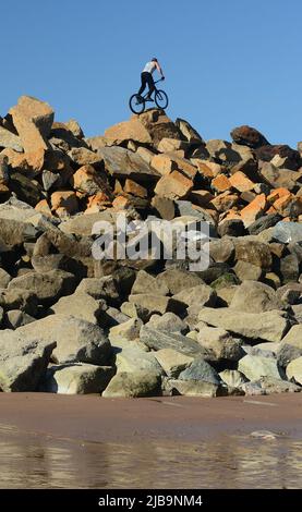 Ein akrobatischer Radfahrer, der Stunts auf mehrfarbigen Felsenpanzern auf der Meeresabwehr ausführt, vom Strand unten bei Ebbe gesehen. Stockfoto