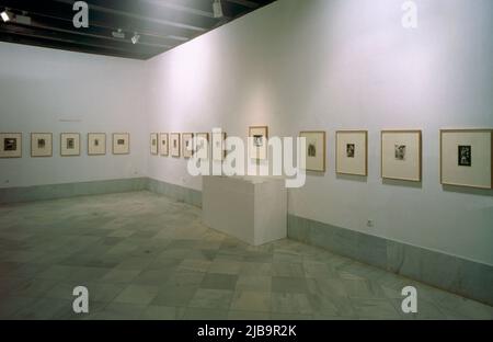 EXPOSICION DE FOTOGRAFIAS EN LA BIENAL DE ARTE CONTEMPORANEO DE SEVILLA - 2004. Autor: MIROSLAV TICHY 1926/. ORT: CENTRO ANDALUZ ARTE CONTEMPORANEO-BIACS 2004. Sevilla. Sevilla. SPANIEN. Stockfoto