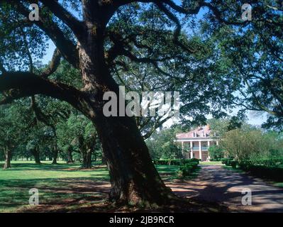 EXT-VISTA DEL JARDIN Y LA MANSION CONSTRUIDA EN 1837 EN ESTILO NEOCLASICO PARA J.T.ROMAN. Autor: SWAINEY GEORGE. Lage: PLANTACION OAKALLEY. BATON ROUGE-LUISIANA. Stockfoto