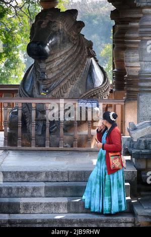 20. Dezember 2021, größte monolithische Nandi-Statue im Hoysaleswara-Tempel, herrlicher Nandi (Lord Shivas Stier) Mandap, Belur und Halebidu. Gestartet 11 Stockfoto