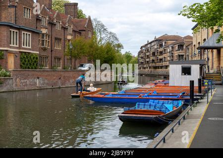 Punting on Cam River near Magdalene Bridge, City Centre of Cambridge, Quayside, Cambridgeshire, England, United Kingdom. Stockfoto