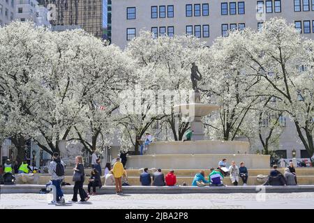 Der Pulitzer Fountain im Frühling, Manhattan NY Stockfoto