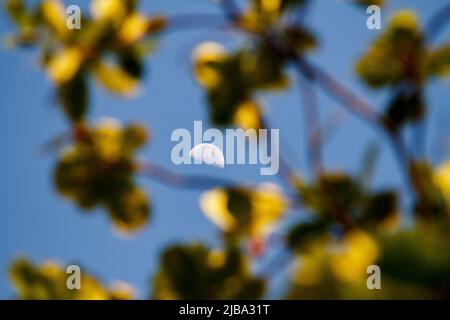 Abnehmender Mond in einem schönen blauen Himmel an einem Morgen in Rio de Janeiro Brasilien. Stockfoto