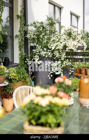 Garten mit Blumen Stockfoto