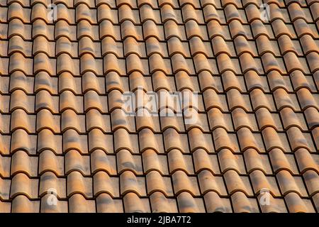 Halbtongewölbe aus einem verwitterten Dach schaffen eine glatte, geometrische Struktur Stockfoto