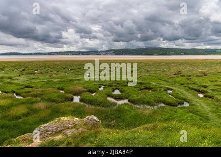 Der Salzmarsch von White Creek auf dem Kent Channel in der Nähe des Arnside Parks mit Grange-over-Sands in der Ferne, Lancashire, England Stockfoto