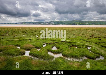 Der Salzmarsch von White Creek auf dem Kent Channel in der Nähe des Arnside Parks mit Grange-over-Sands in der Ferne, Lancashire, England Stockfoto