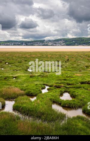 Der Salzmarsch von White Creek auf dem Kent Channel in der Nähe des Arnside Parks mit Grange-over-Sands in der Ferne, Lancashire, England Stockfoto