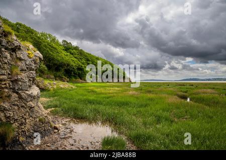 Blick nach Süden in Richtung Arnside Point und dem Salzsumpfgebiet von White Creek auf dem Kent Channel in der Nähe des Arnside Park, Lancashire, England Stockfoto