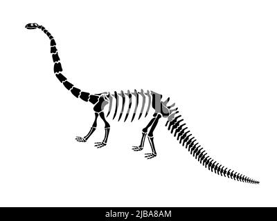 Vektor-Illustration mit Dinosaurier-Skelett isoliert auf weißem Hintergrund. Stock Vektor