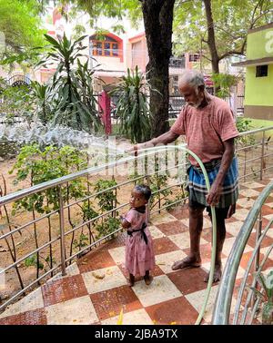 Chennai, Indien, 4.. Juni 2022: Ein Gärtner (Großvater), der die Pflanzen in einem Park wässert, während seine Enkelin den Nieselregen genießt, der die Hitze in Chennai schlägt. Seshadri Sukumar Stockfoto