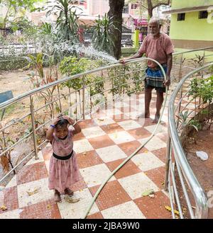 Chennai, Indien, 4.. Juni 2022: Ein Gärtner (Großvater), der die Pflanzen in einem Park wässert, während seine Enkelin den Nieselregen genießt, der die Hitze in Chennai schlägt. Seshadri Sukumar Stockfoto