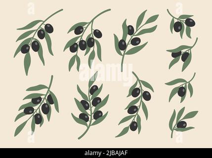 Kollektion von abstrakten Boho minimalistischen schwarzen Olivenzweigen. Botanische Pflanzen in Pastellfarben. Stock Vektor