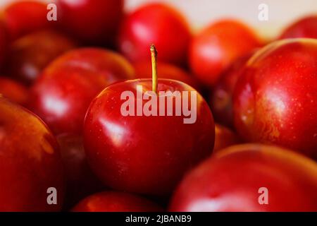 Nahaufnahme von Pflaumenfrüchten, die in der Schüssel aufbewahrt werden Stockfoto