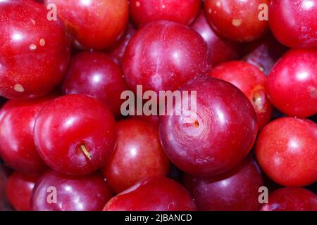 Nahaufnahme einer Gruppe von Pflaumenfrüchten, die in der Schüssel aufbewahrt werden Stockfoto