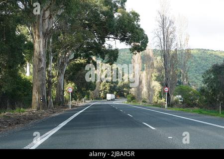 Der Volcanic Loop Highway, eine malerische Nebenstraße durch den Tongariro National Park, Neuseeland Stockfoto